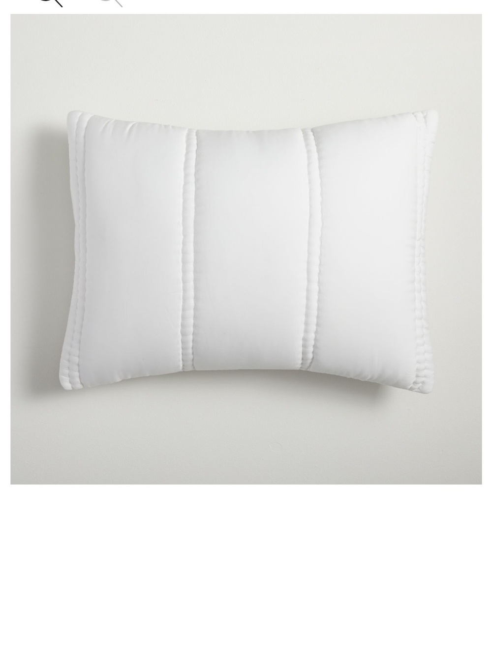 West Elm Silky TENCEL Plus Shams - King